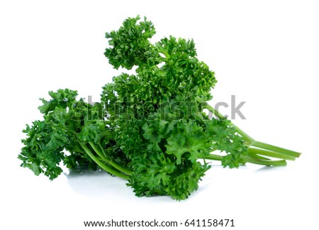 Similar – Image, Stock Photo parsley Parsley