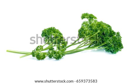 Similar – Image, Stock Photo parsley Parsley