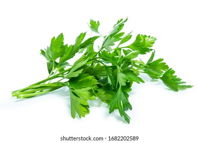 Parsley Leaf Isolated On White Background