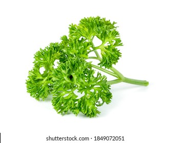 Verdure Images Stock Photos Vectors Shutterstock