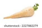 parsley root isolated on white. the entire image in sharpness.