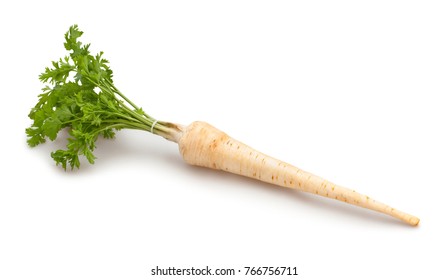 Parsley Root Hd Stock Images Shutterstock