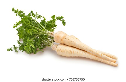 Parsley Root Path Isolated