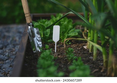 parsley seedlings in veggie garden in spring with shovel and label (tag). Raised veggie garden beds. - Powered by Shutterstock