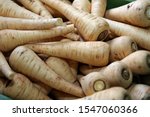 Parsnip full frame background root vegetable