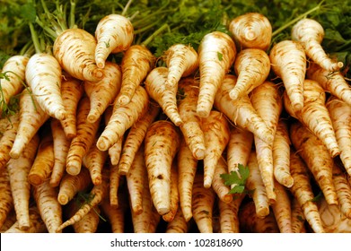 Parsnip on display in food market. No people. Copy space - Powered by Shutterstock