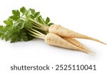 parsnip - Pastinaca sativa - is a tap root taproot vegetable closely related to carrot and parsley and can be cooked but can also be eaten raw. The flesh has a sweet flavor. Isolated on white 