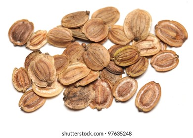 Parsnip Seeds Isolated On White