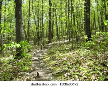 Part Of The Appalachian Trail In Pennsylvania