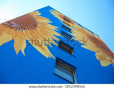 Part of an artistically painted house, skyscraper reaching for the sky, with huge sunflower blossoms on blue house wall, windows, mural painting, copy space