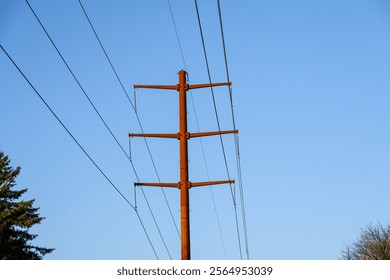 Part of the completed Energize Eastside upgrade to 230 kV overhead power line distribution system project, high-tension power lines on monopole pylon towers
 - Powered by Shutterstock