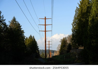 Part of the completed Energize Eastside upgrade to 230 kV overhead power line distribution system project, high-tension power lines on monopole pylon towers
 - Powered by Shutterstock