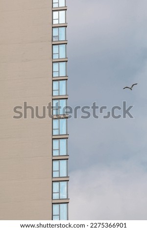 Similar – Foto Bild Möwe_Strand_Himmel