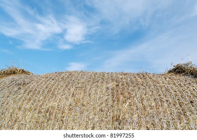 Part of haystack and blue sky.