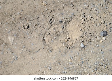 Part Of A Horse Shoe Track In The Dirt