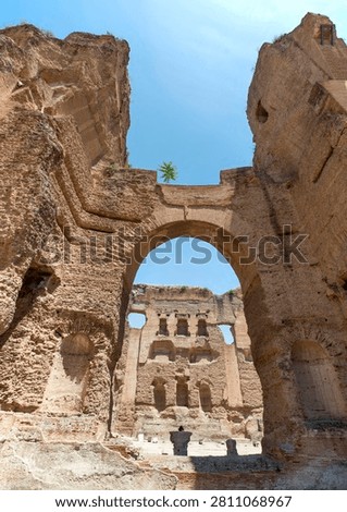 Part of the internal section with massive ancient brick walls and arches of the Baths of Caracalla in Rome, Italy, Europe