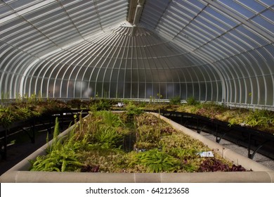 Part Of Kibble Palace Interior With Carnivorous Plants