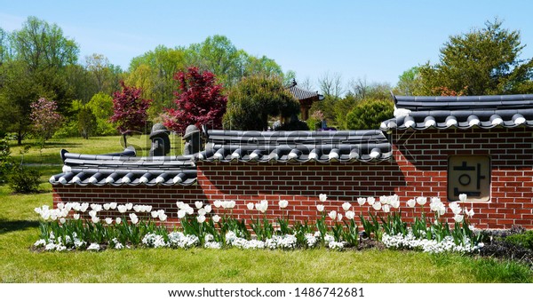 Part Korean Bell Garden Meadowlark Botanical Stock Photo Edit Now