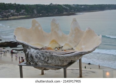 part of a large shell, similar to an ashtray with cigarette butts on the background of the sea coast