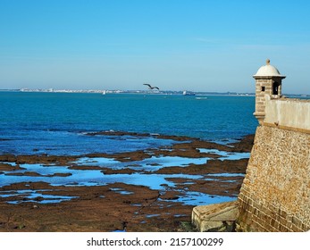 A part from old fortress looking to the sea with bird flying