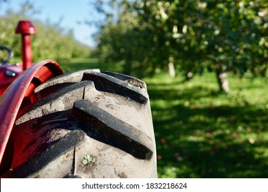 Part Of An Old Red Metal Fruit Picking Garden Tractor, Huge Rear Tire With Large Tread, Sunny Day, Harvesting, Quebec, Canada