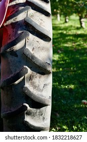 Part Of An Old Red Metal Fruit Picking Garden Tractor, Huge Rear Tire With Large Tread, Sunny Day, Harvesting, Quebec, Canada