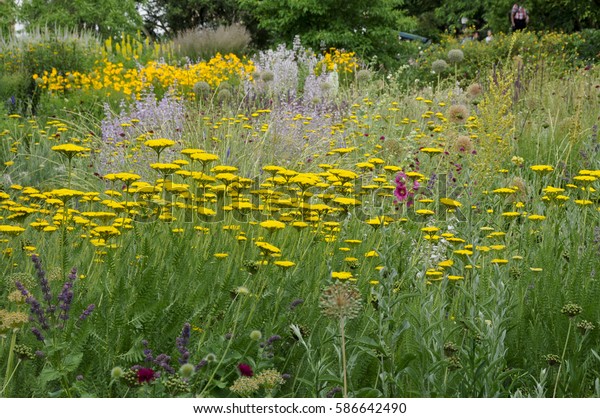 Part Sichtungsgarten Hermannshof Weinheim Nature Parks Outdoor