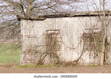 Part of a small dilapidated wooden shed on the farmland
