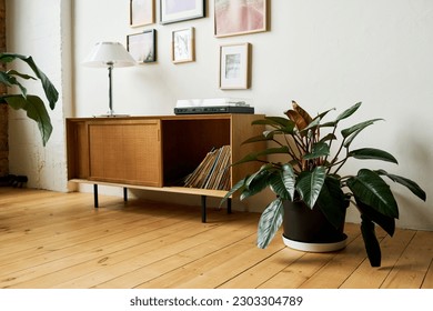 Parte de una espaciosa habitación o oficina con plantas verdes en macetas de flores paradas en el suelo y lámpara en la mesa de la consola con discos de vinilo en cajón