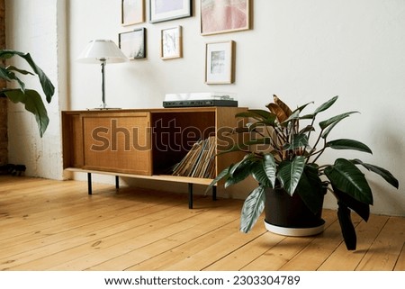 Part of spacious room or office with green plants in flowerpots standing on the floor and lamp on console table with vinyl disks in drawer