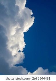 Part of tall cumulus cloud in an updraft during golden hour on a summer evening