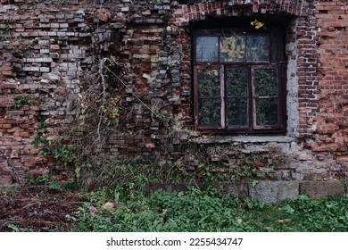 Part of the wall of an abandoned red brick house with a window. Trees grow inside. - Shutterstock ID 2255434747