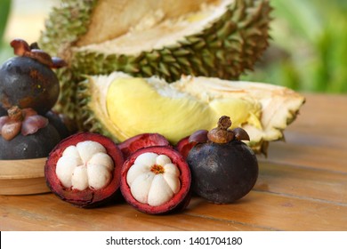 Part and whole of Mangosteens(Garcinia mangostana) and Durian(Durio) on wooden table with blurred background.King and Queen of fruits in Thailand,favorite fruit in summer.Fruits or healthcare concept.