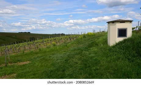 Partenheim Vineyard Landscape With Storm Shelter