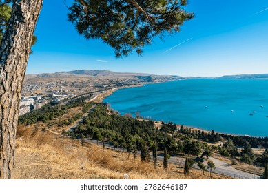 A partial hillside view overlooking a large body of blue water, with dry grass in the foreground, scattered trees, distant shoreline, and a clear blue sky.