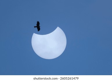 Partial solar eclipse in Galicia, Spain