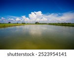 A partial view of a Catla fish (labeo catla or major South Asian carp) farm under a blue autumn sky.