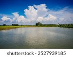 A partial view of a Catla fish (labeo catla or major South Asian carp) farm under a blue autumn sky.