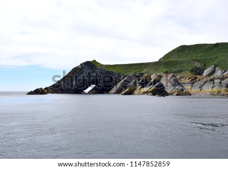 partial view of Great Island at Witless Bay Ecological Reserve with the natural feature called the Arch in the background, many birds flying and in the water; Newfoundland Canada