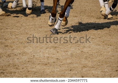 Similar – Image, Stock Photo Please don’t pet the bull.