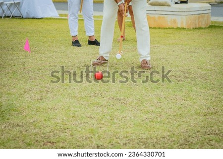 The partial view of a man playing the croquet game on the grass