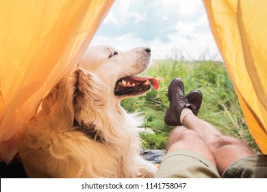 partial view of tourist in tent with golden retriever dog on meadow