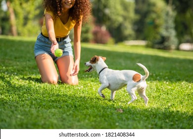 Partial view of young woman throwing ball to jack russell terrier dog - Powered by Shutterstock