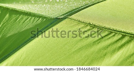 Similar – Image, Stock Photo Close up fresh green hop bine branch over blue sky