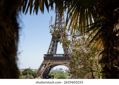A partially obscured view of the Eiffel Tower, framed by lush green foliage and blooming trees.  The image evokes a serene, romantic mood, 

