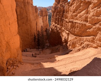 Partially shaded switchbacks on Bryce Canyon’s Navajo Loop Trail
