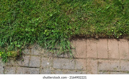 A Partially-Edged Gray Brick Pathway
