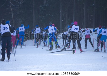 Participants of traditional mass skiing competitions at long and short distances