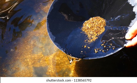 Particles of gold in a round bowl                     