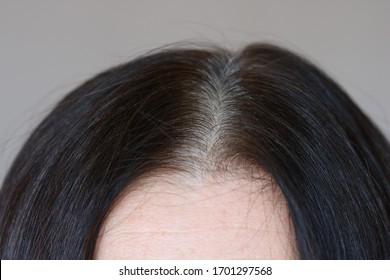 Parting Of Dark Brown Wonan's Hair With Grey Roots, Side View, Close Up